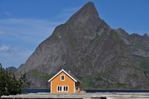 Saltak – Komplett guide til pris, fordeler og levetid